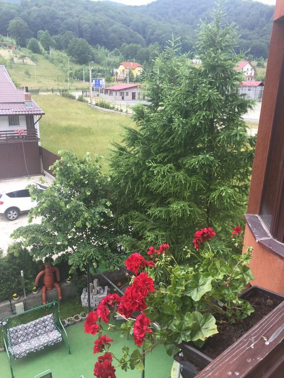 Pensiunea Silvian Кея Екстериор снимка